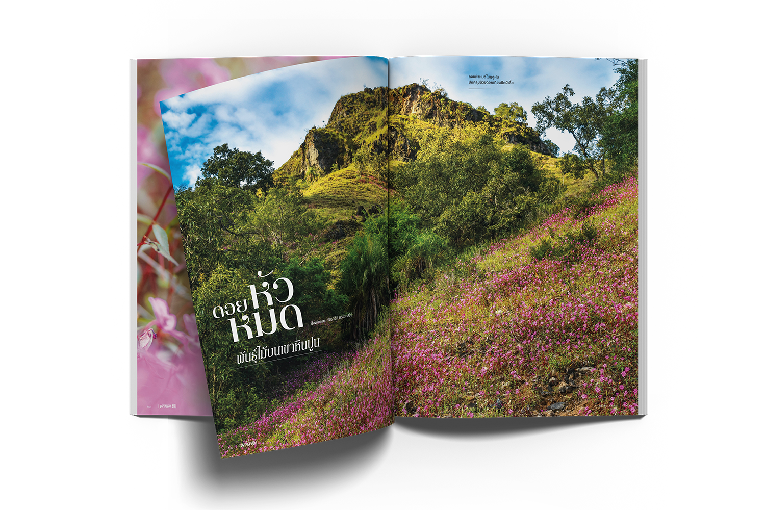 07_top_view_a4_magazine_mockup