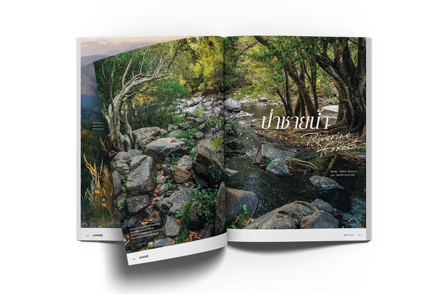 07_top_view_a4_magazine_mockup copy