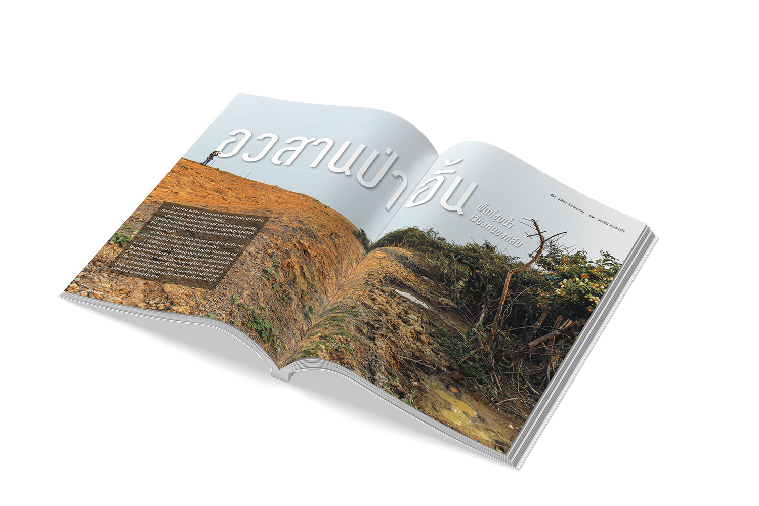 a4_magazine_03 copy 2